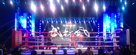 2013年3月31日，温岭含羞草文化传媒企划首届《武林风》环球拳王争霸赛在温岭体育馆震撼上演，圆满成功